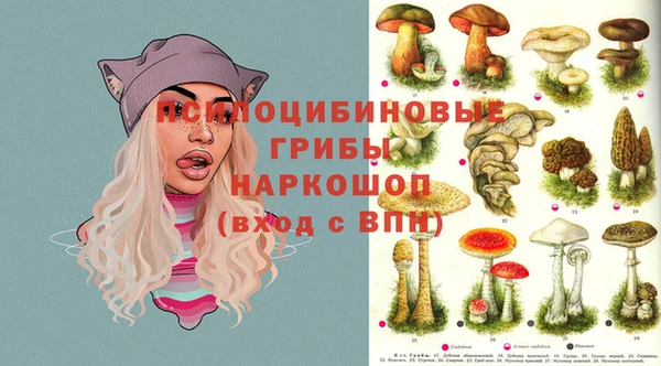 кристаллы Новокубанск