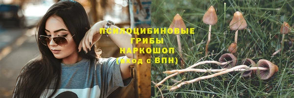 ПСИЛОЦИБИНОВЫЕ ГРИБЫ Ачинск