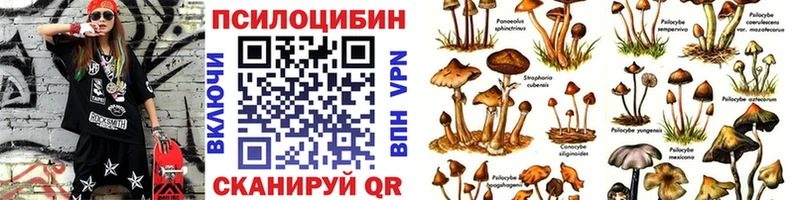 Галлюциногенные грибы мицелий  Биробиджан 