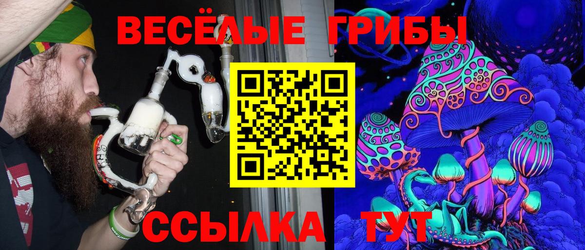 Галлюциногенные грибы Psilocybine cubensis  Псилоцибиновые грибы Psilocybe  Биробиджан  Вход с VPN 
