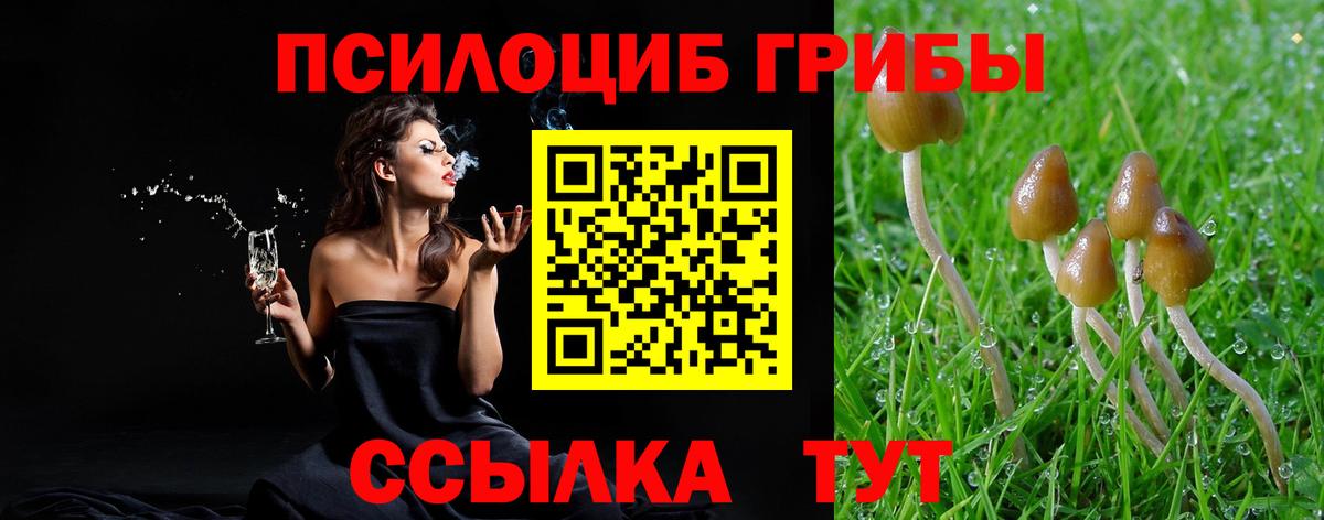 Галлюциногенные грибы прущие грибы  Псилоцибиновые грибы Cubensis  Биробиджан 