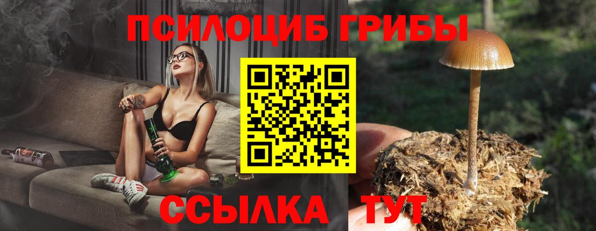 Галлюциногенные грибы мицелий Биробиджан